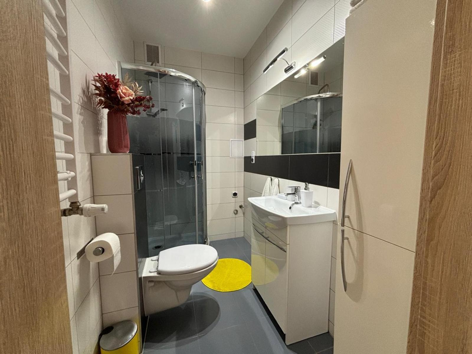 Apartament Wygodny اوسترزوكي دولن المظهر الخارجي الصورة
